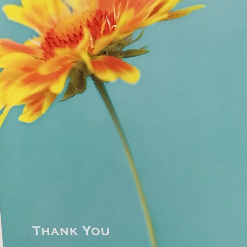 Meet your Posher, Jo🤗